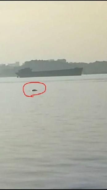 �c(di��n)���鿴����ԭ�D